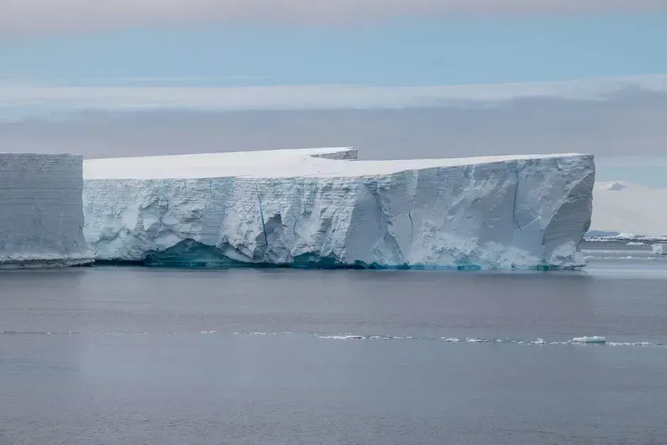 A closer look beneath the ice reveals a troubling shift (Image Credits: Pexels)