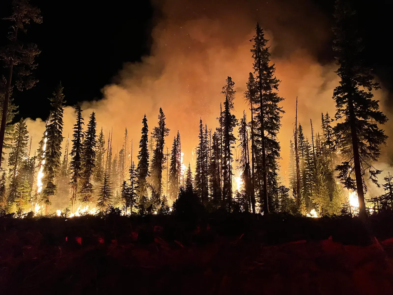 The Fires Fueling It All Are Massive and Largely Unfought (Image Credits: Wikimedia)