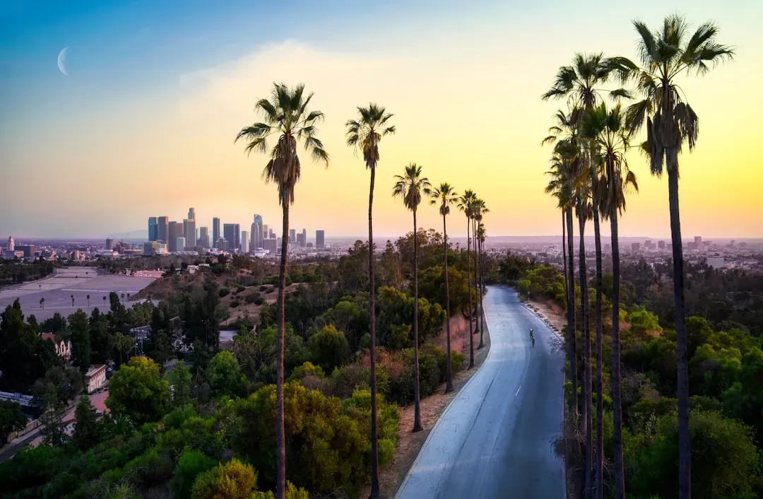Los Angeles, California (Image Credits: Unsplash)