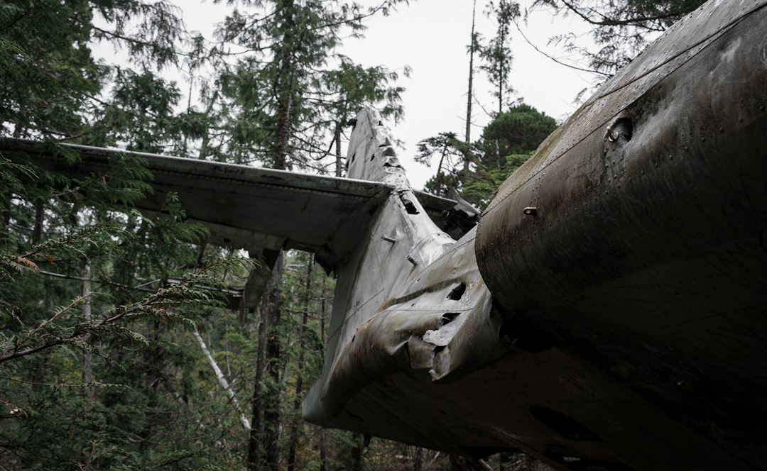 Tragedy in the Skies (image credits: unsplash)