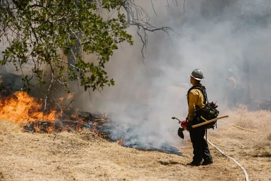 The wildland urban interface keeps expanding (Image Credits: Pexels)