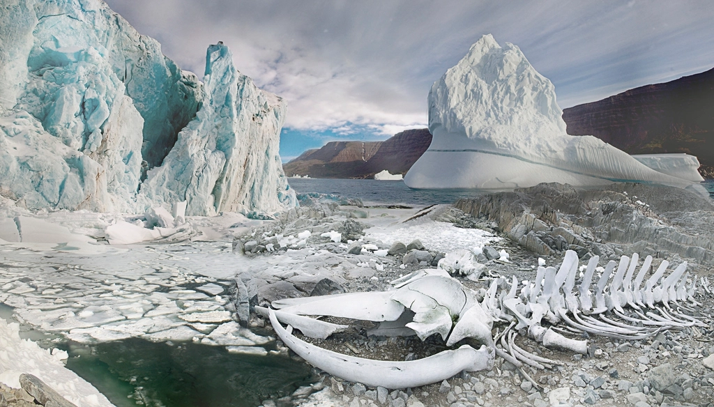 The Accelerating Pace of Change (image credits: rawpixel)
