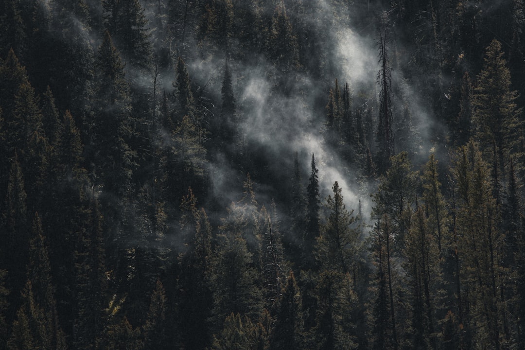 Transportation and Infrastructure Under Siege (image credits: unsplash)