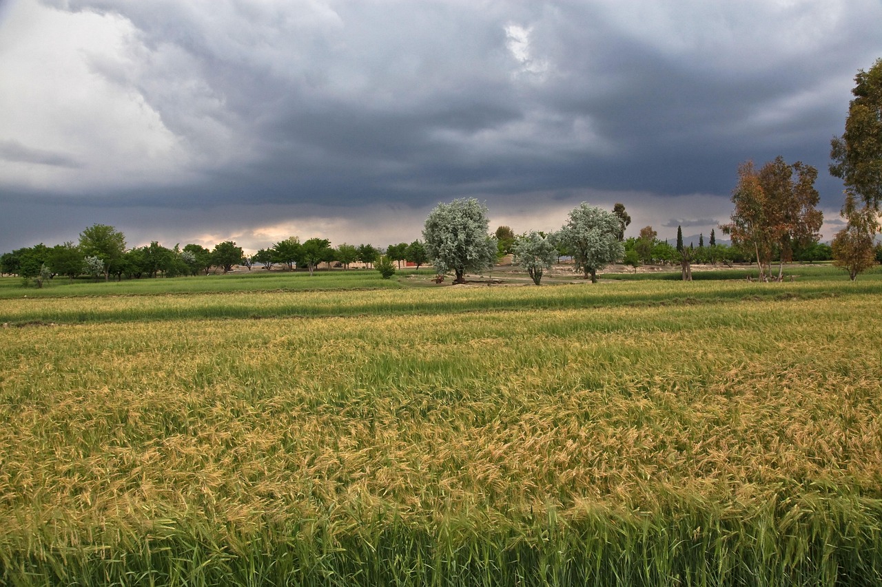 Wichita Falls, Texas - The Tornado Alley Wind Hub (image credits: pixabay)