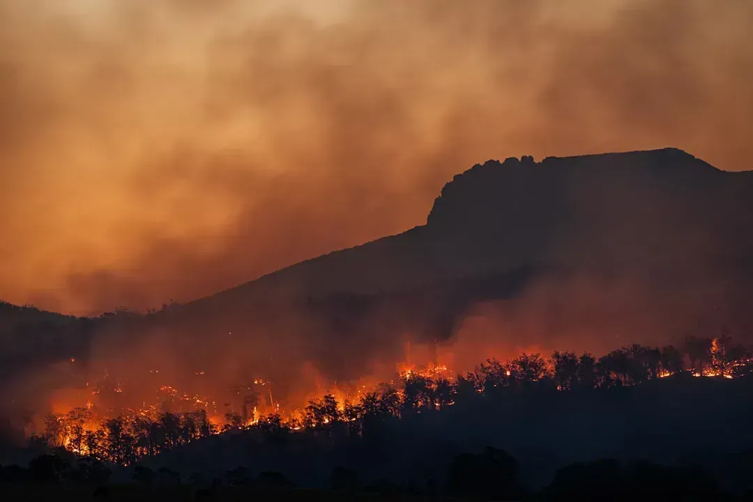 California's Wildfire Corridor: Smoke as a Breaking Point (Image Credits: Unsplash)