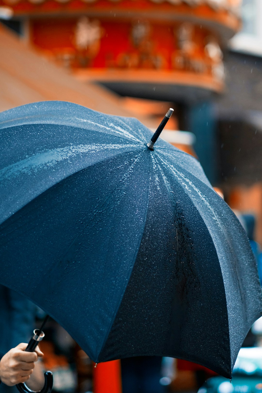 How Your State's Rainfall Affects Your Daily Life (More Than You Think) (image credits: unsplash)