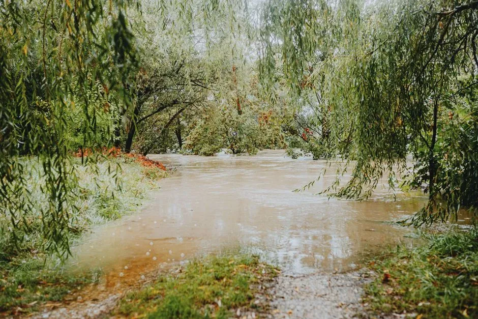 7. New Mexico (Image Credits: Pexels)
