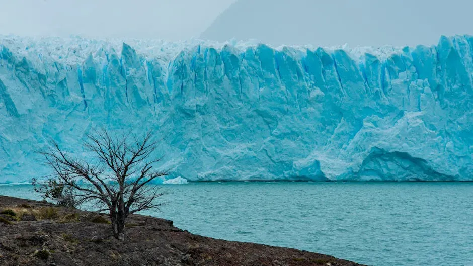 A Warming World Changes the Equation (Image Credits: Pexels)