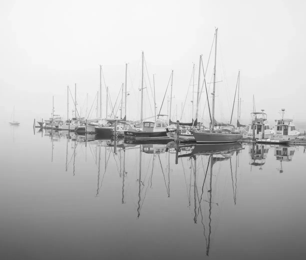 Fog across the seasons, and when it's worst (Marina In The Fog, CC BY 2.0)