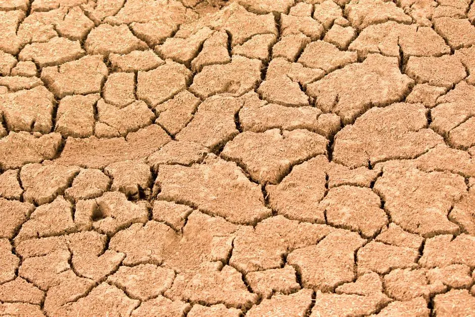 3. The Air Itself Started Attacking My Skin and Sinuses (Image Credits: Pexels)