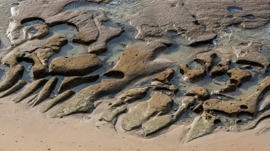 5. Ancient Ocean Sediments Mirror Today's CO2 Emissions (Image Credits: Unsplash)