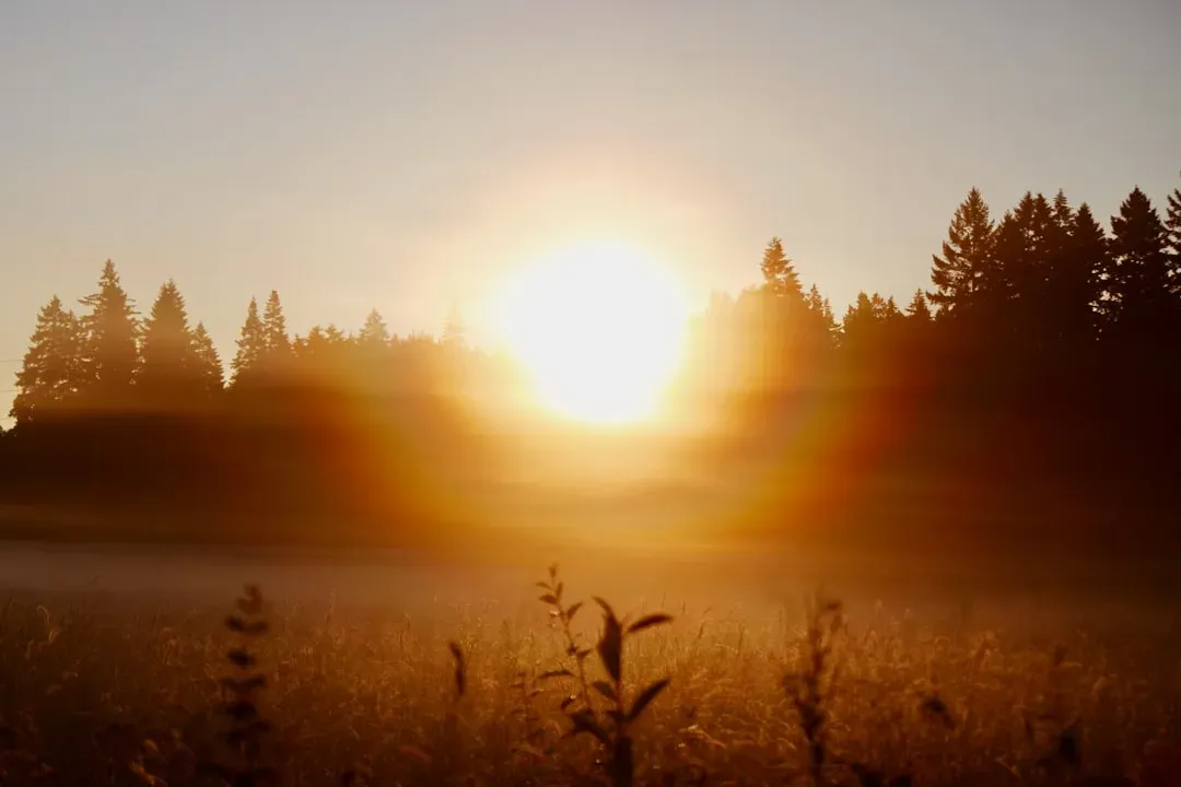 Oregon (Image Credits: Unsplash)