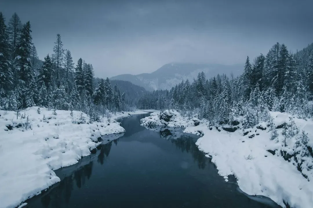 Montana (Image Credits: Unsplash)