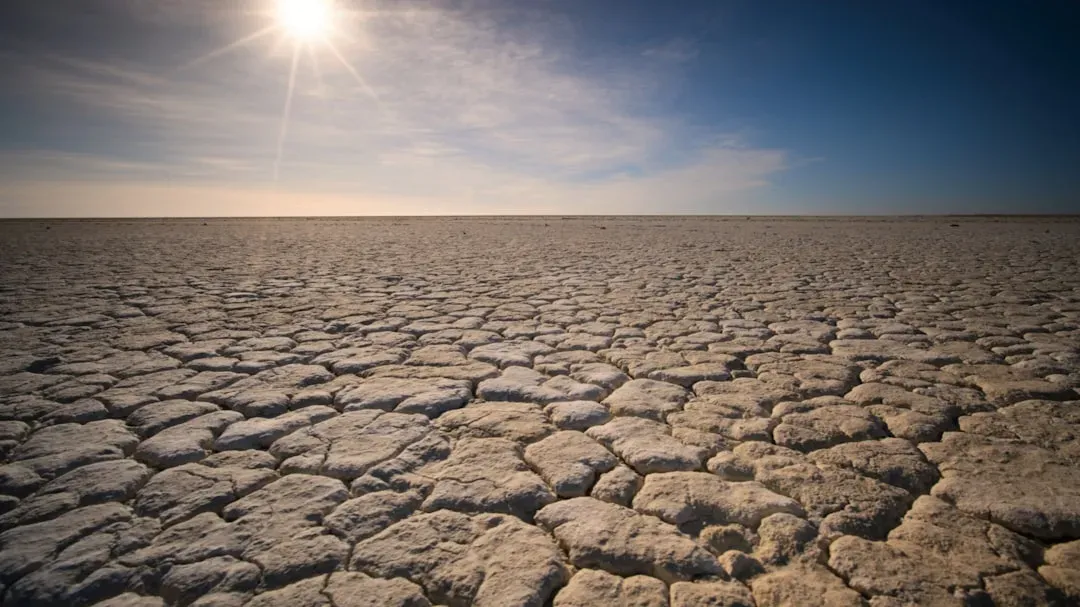 Soil moisture and heat feed off each other (Image Credits: Unsplash)