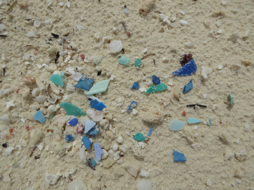The Microplastic Dilemma (image credits: flickr)