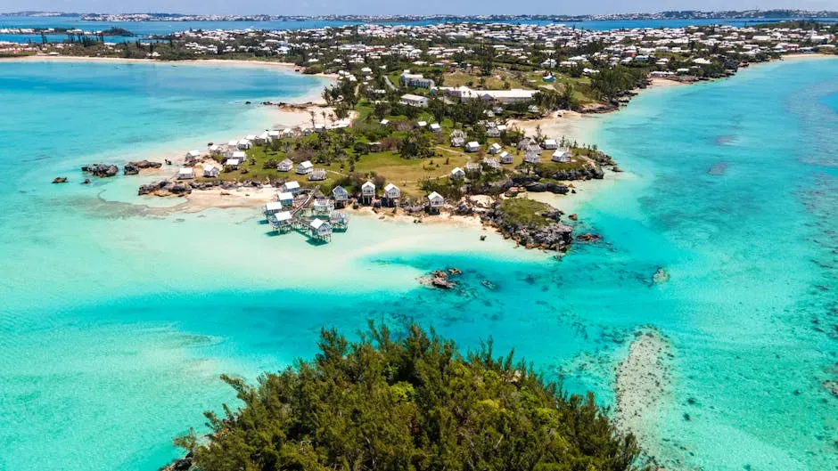 7. Bermuda (Image Credits: Pexels)