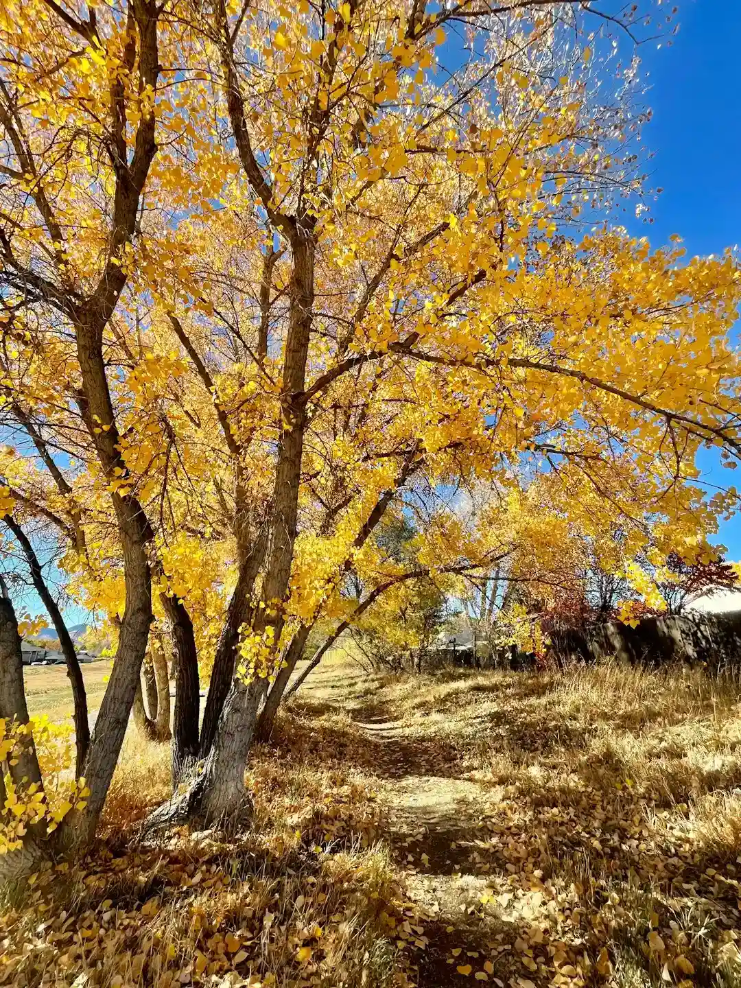 2. Denver, Colorado (Image Credits: Unsplash)