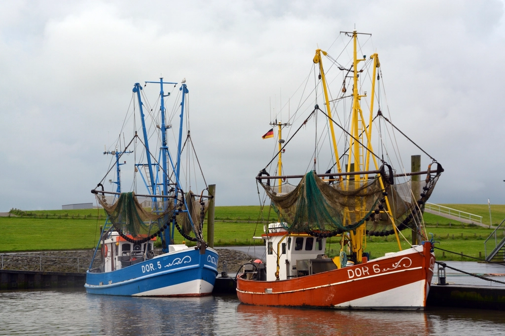 America's Fishing Industry Supports Millions of Jobs (image credits: rawpixel)
