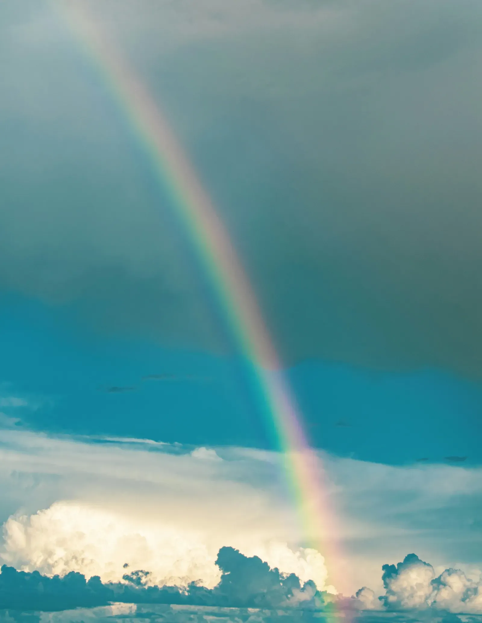 Double Rainbows Explained: Why They Form and Why Their Colors Are ...