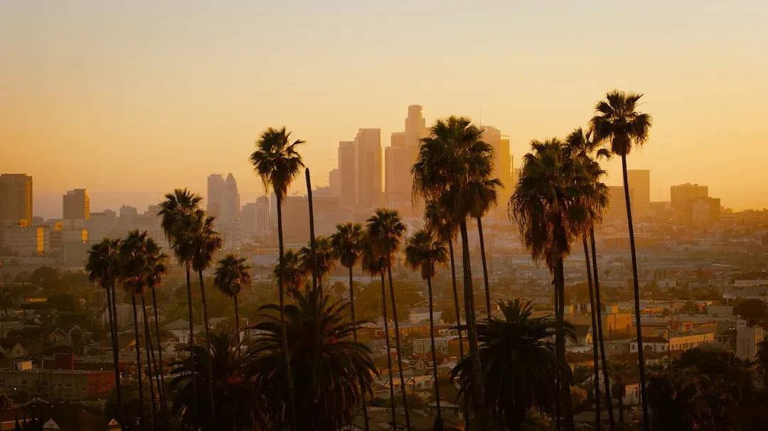 Los Angeles, California (Image Credits: Unsplash)