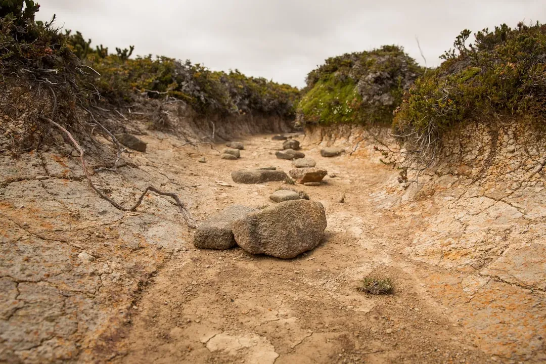 The region everyone assumes is driest (Image Credits: Unsplash)