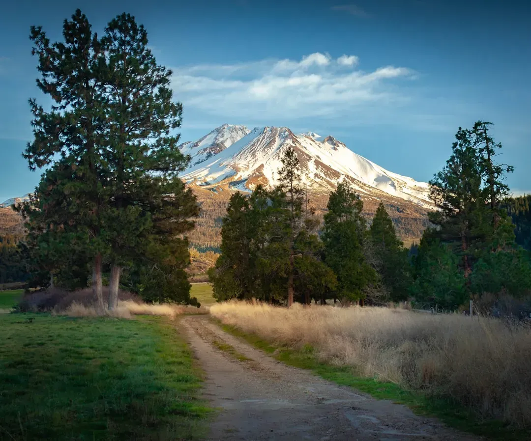 California (Image Credits: Unsplash)