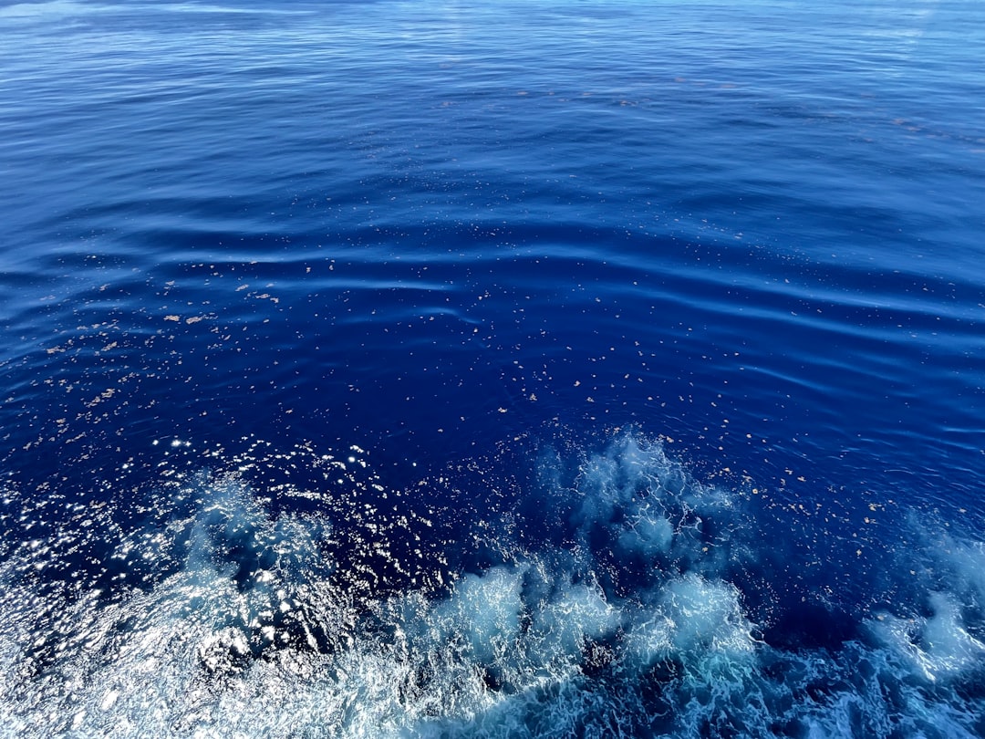 The Ocean as Earth's Carbon Sink (image credits: unsplash)