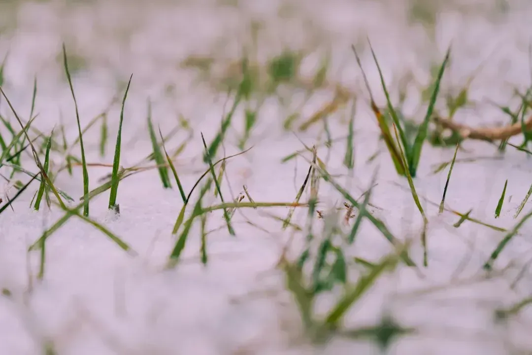 6. December Turned Colder Than Early Forecasts Called For (Image Credits: Unsplash)