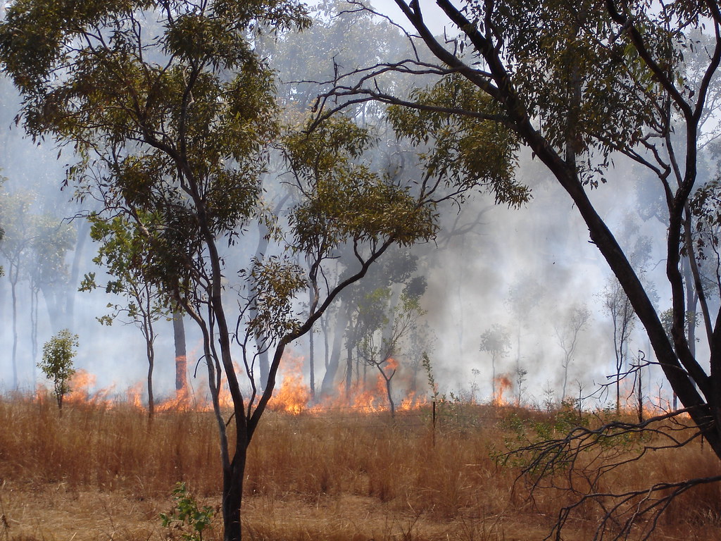 Australia's Relentless Fire Years - Beyond Black Summer (image credits: flickr)