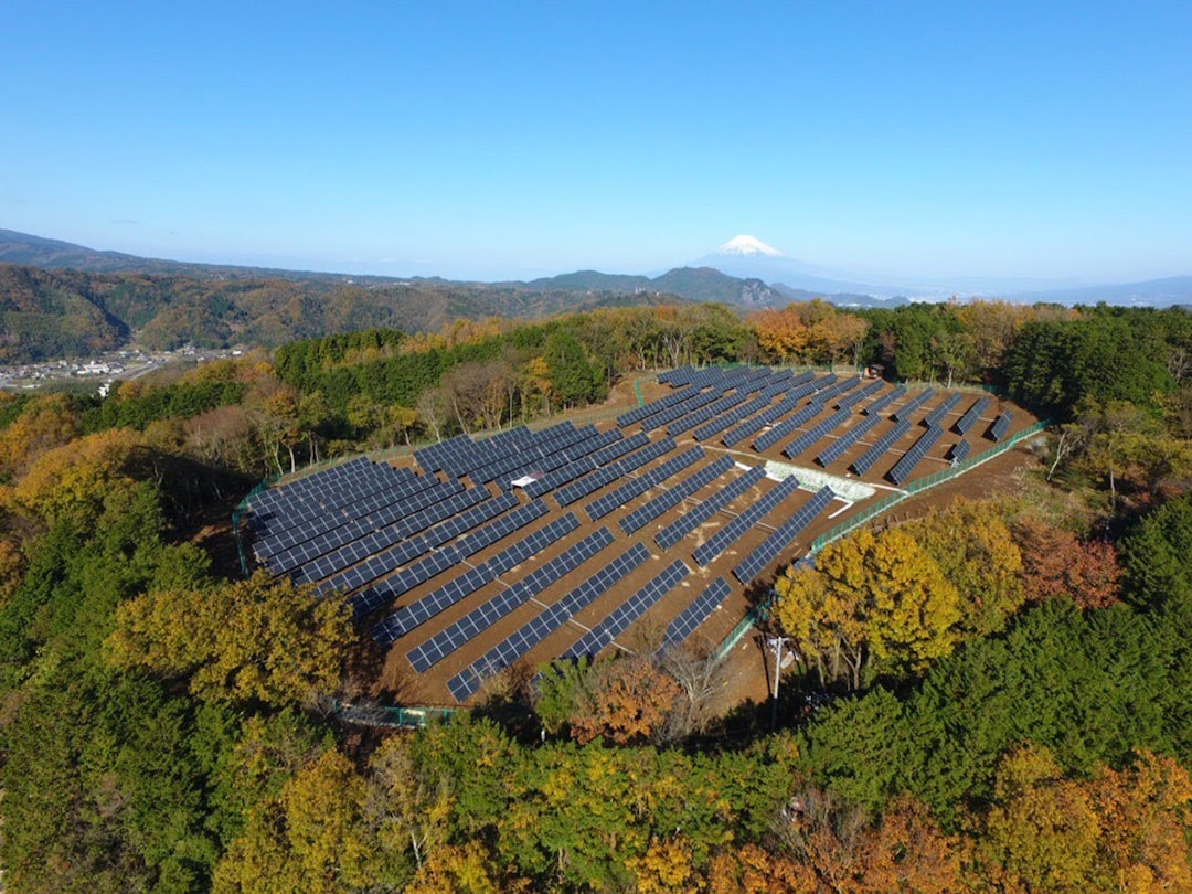 Japan: Raising the Bar with New Climate Targets (image credits: unsplash)