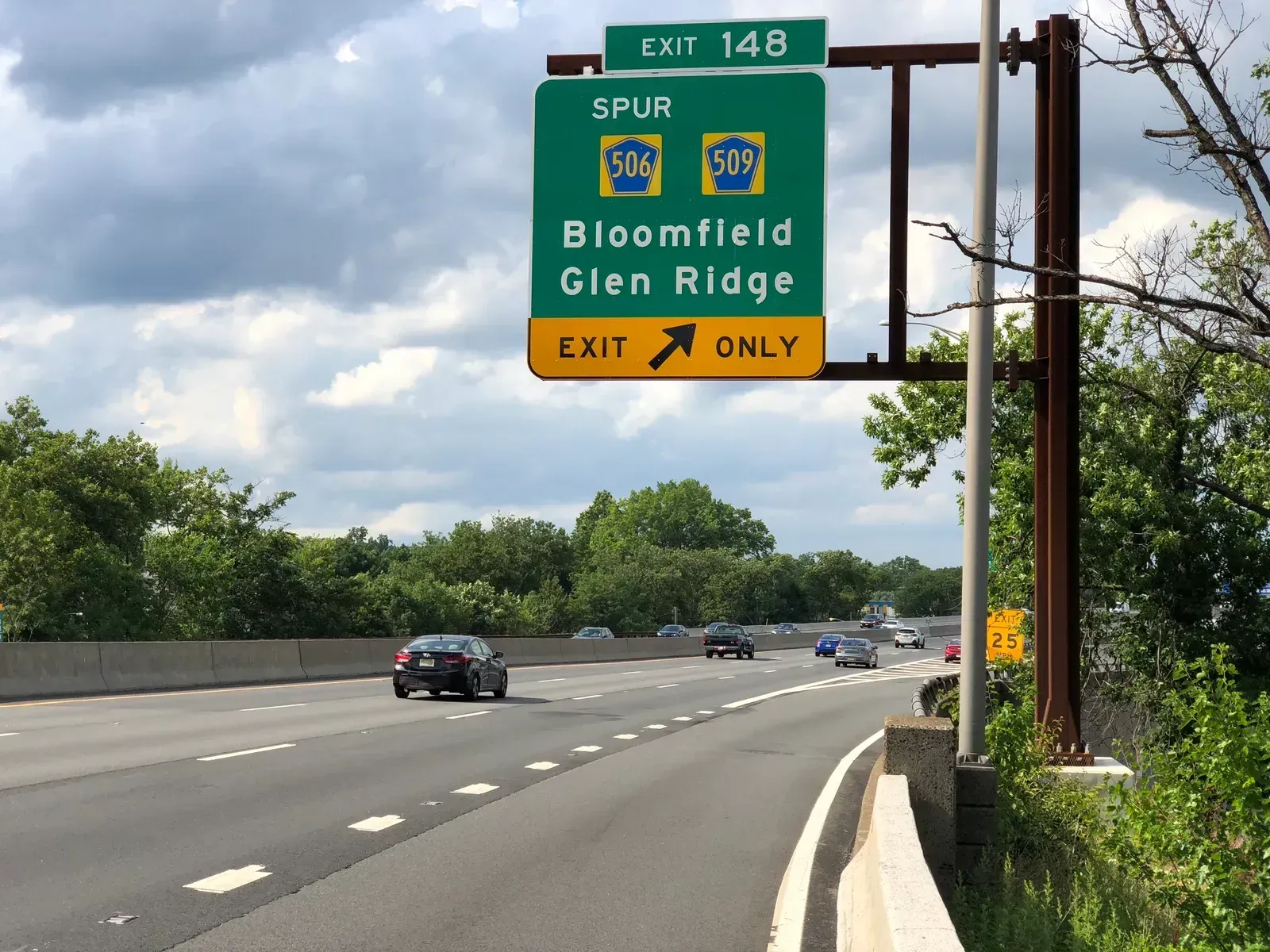 7. Bloomfield Township, New Jersey: Urban Wetland Restoration (Image Credits: By Famartin, CC BY-SA 4.0)