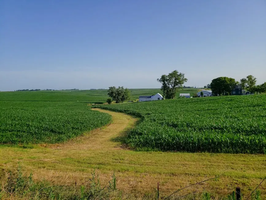 Iowa: A Glacial Legacy Hidden in Every Basement (Image Credits: Pexels)
