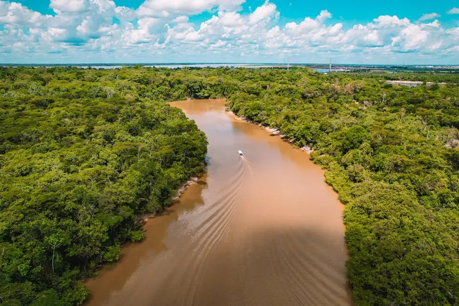 The Amazon Basin: A Region in Ecological Freefall (Image Credits: Pexels)