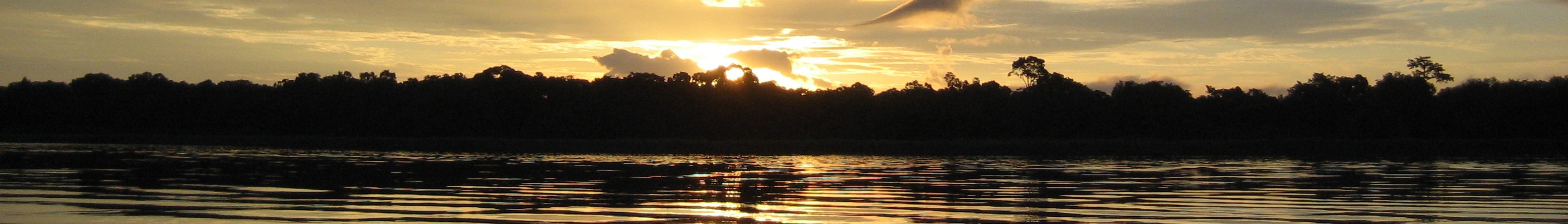 Democratic Republic of the Congo: The Congo Basin (image credits: wikimedia)