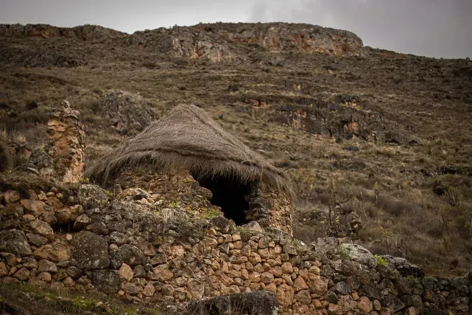 7. Ancient Andean Hunting Traps Revealed in Chile (Image Credits: Pexels)