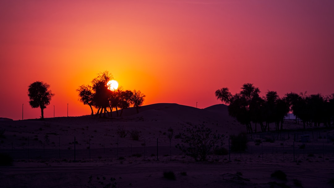 Early Peaks in the Desert Southwest (image credits: unsplash)