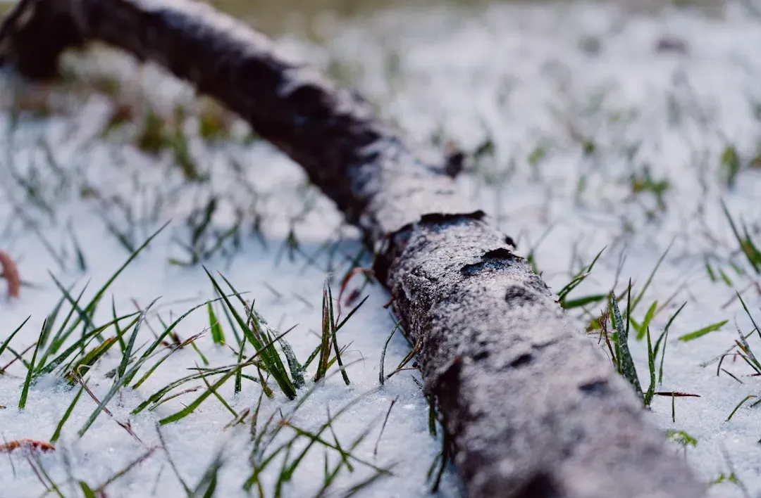 How the Polar Vortex Develops Over the Arctic (Image Credits: Unsplash)