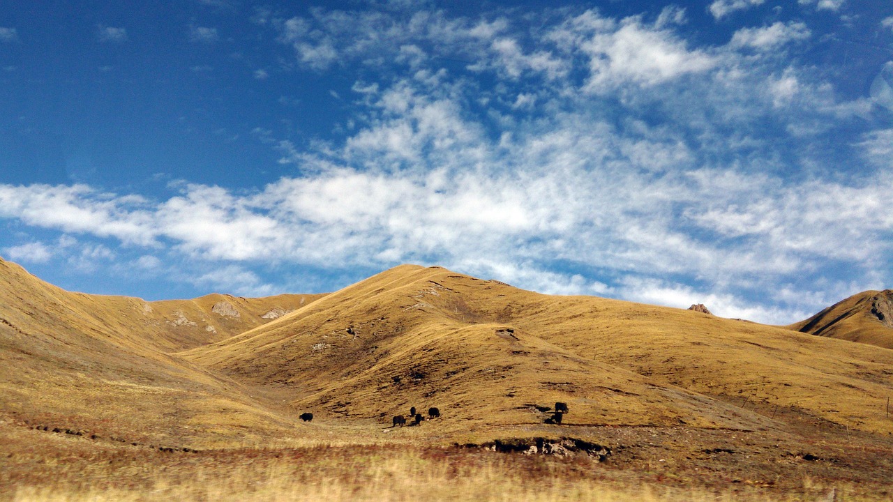 Tibetan Plateau: The High-Altitude Wild Card (image credits: pixabay)