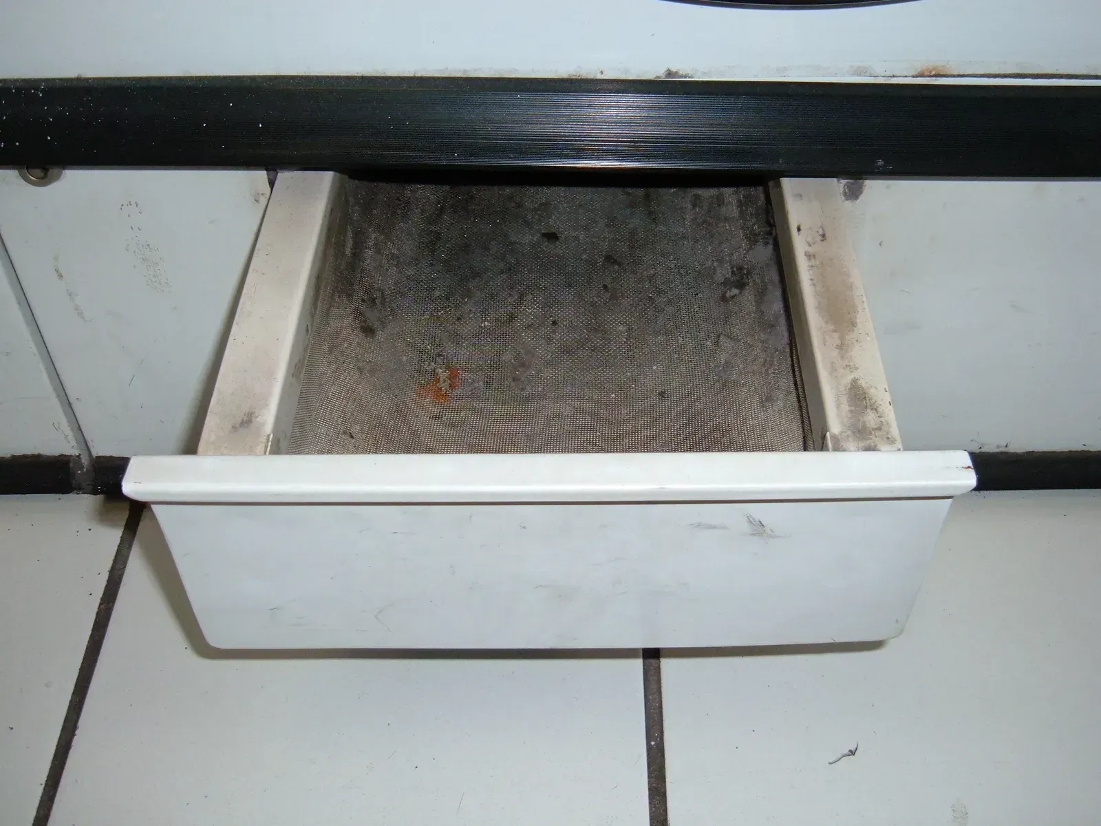 8. Dryer lint (By BrokenSphere, CC BY-SA 3.0)