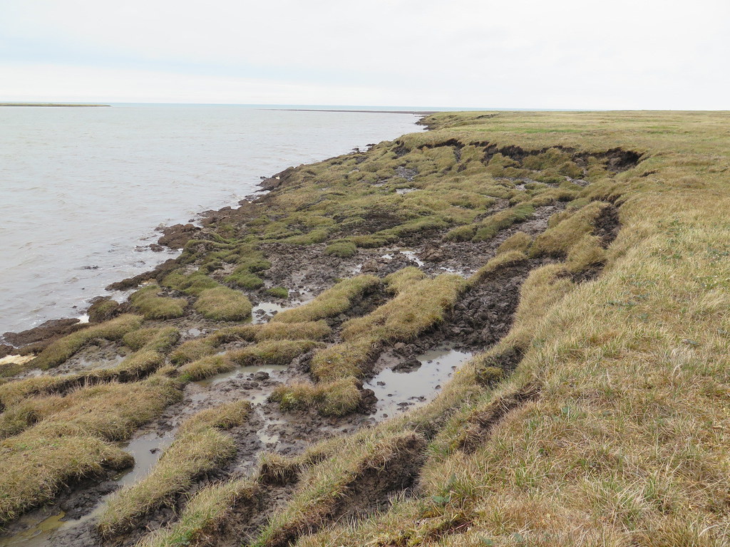 Coastal Erosion Steals Land Inch by Inch (image credits: flickr)