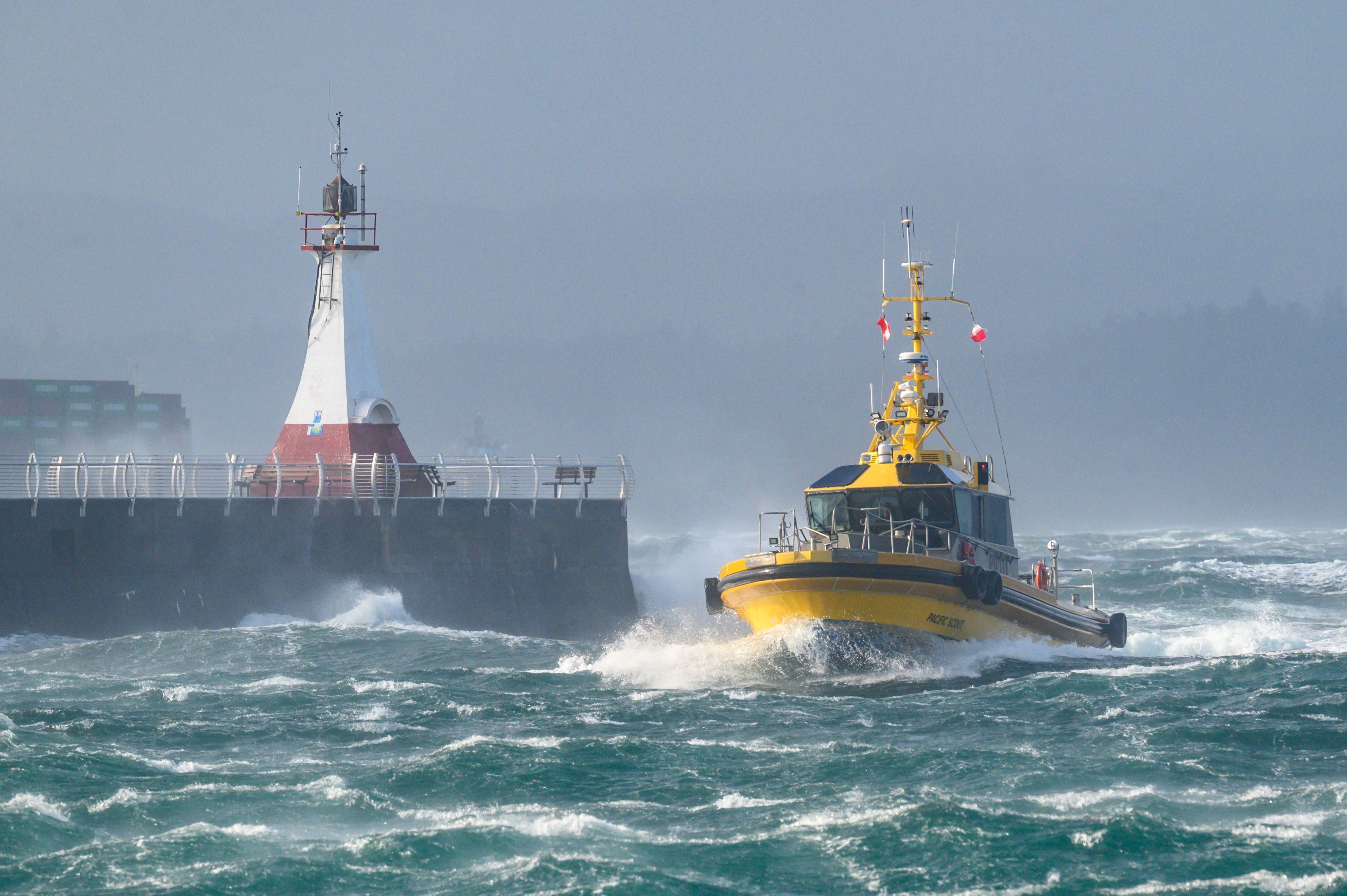 Weather’s Wild Card Returns (image credits: wikimedia)