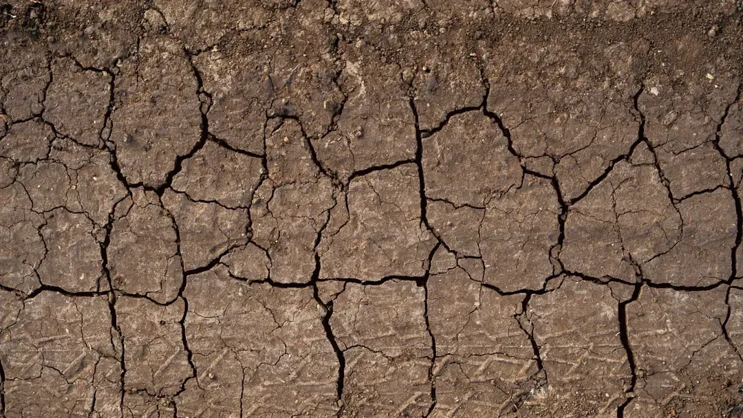 3. Visible Ground Cracks and Surface Ruptures (Image Credits: Unsplash)
