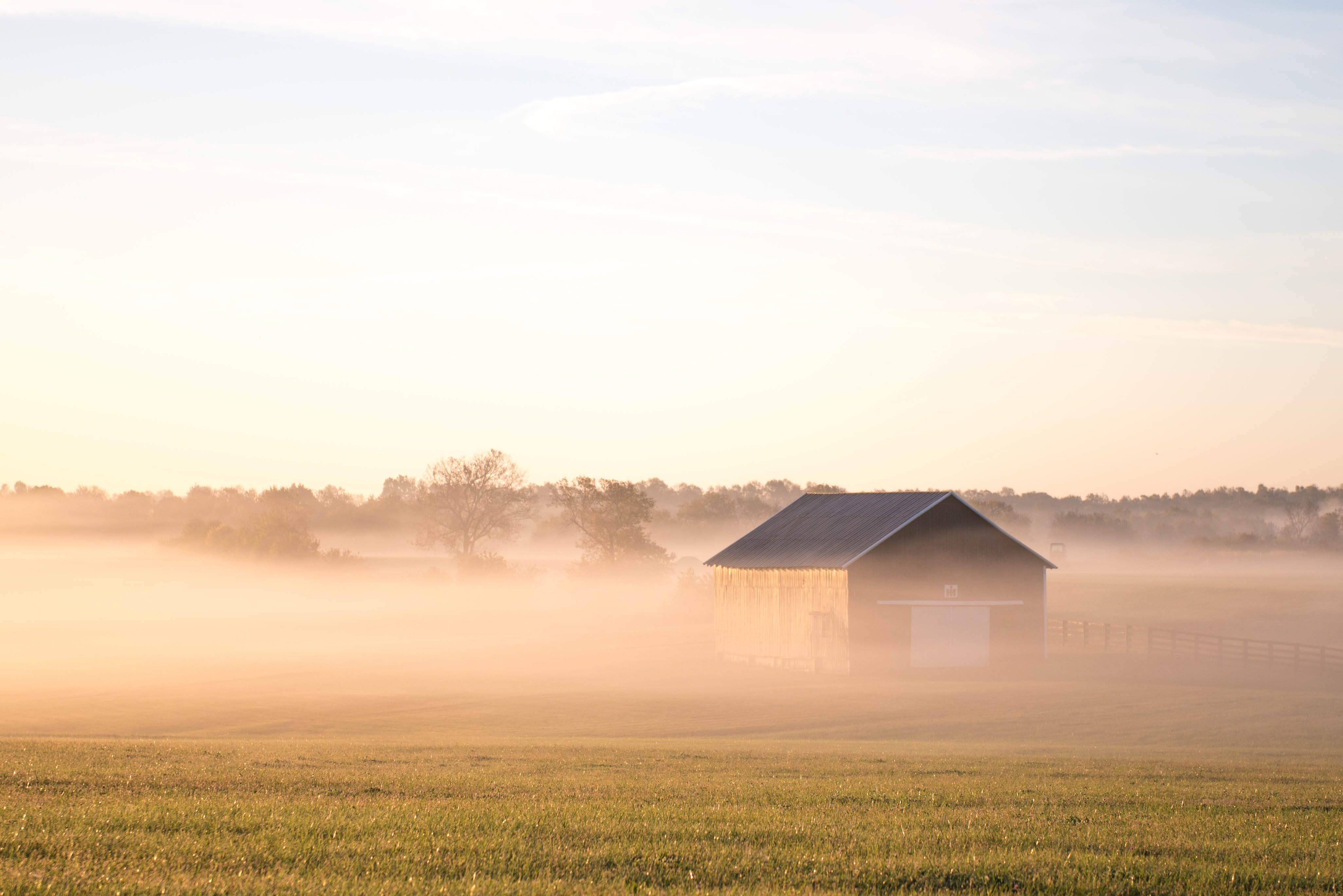 Fog Harvesting Makes Headlines in Desert Cities (image credits: wikimedia)