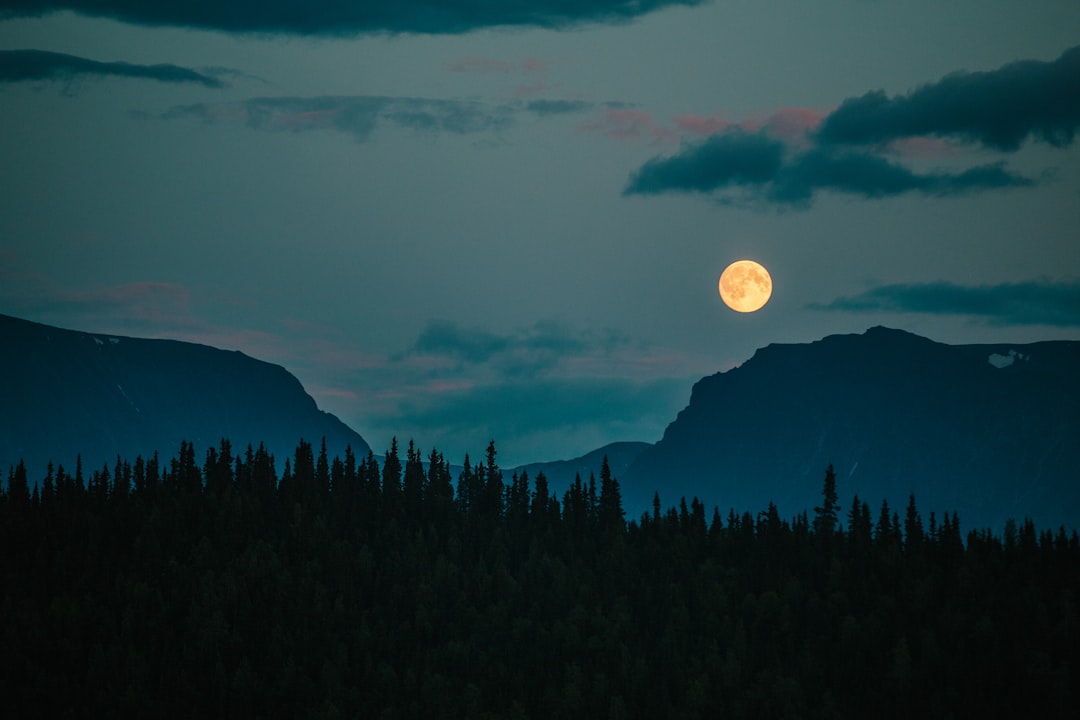 Indigenous Communities Already Knew What Science Just Confirmed (image credits: unsplash)