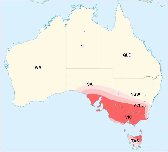 7. Southeastern Australia (Transferred from en.wikipedia to Commons by Ramisses., Public domain)