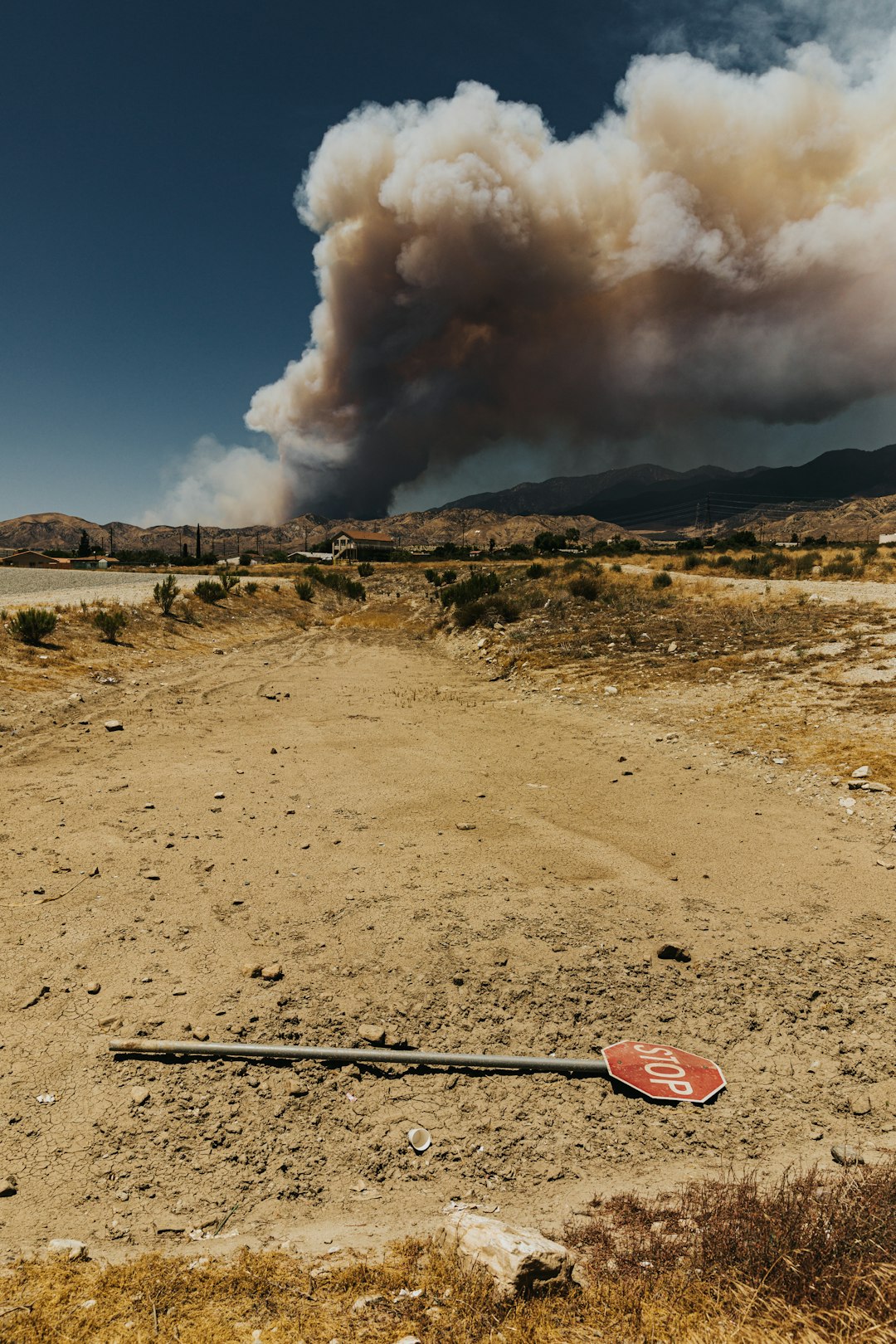Nevada's Unprecedented Drought Creates Perfect Storm (image credits: unsplash)