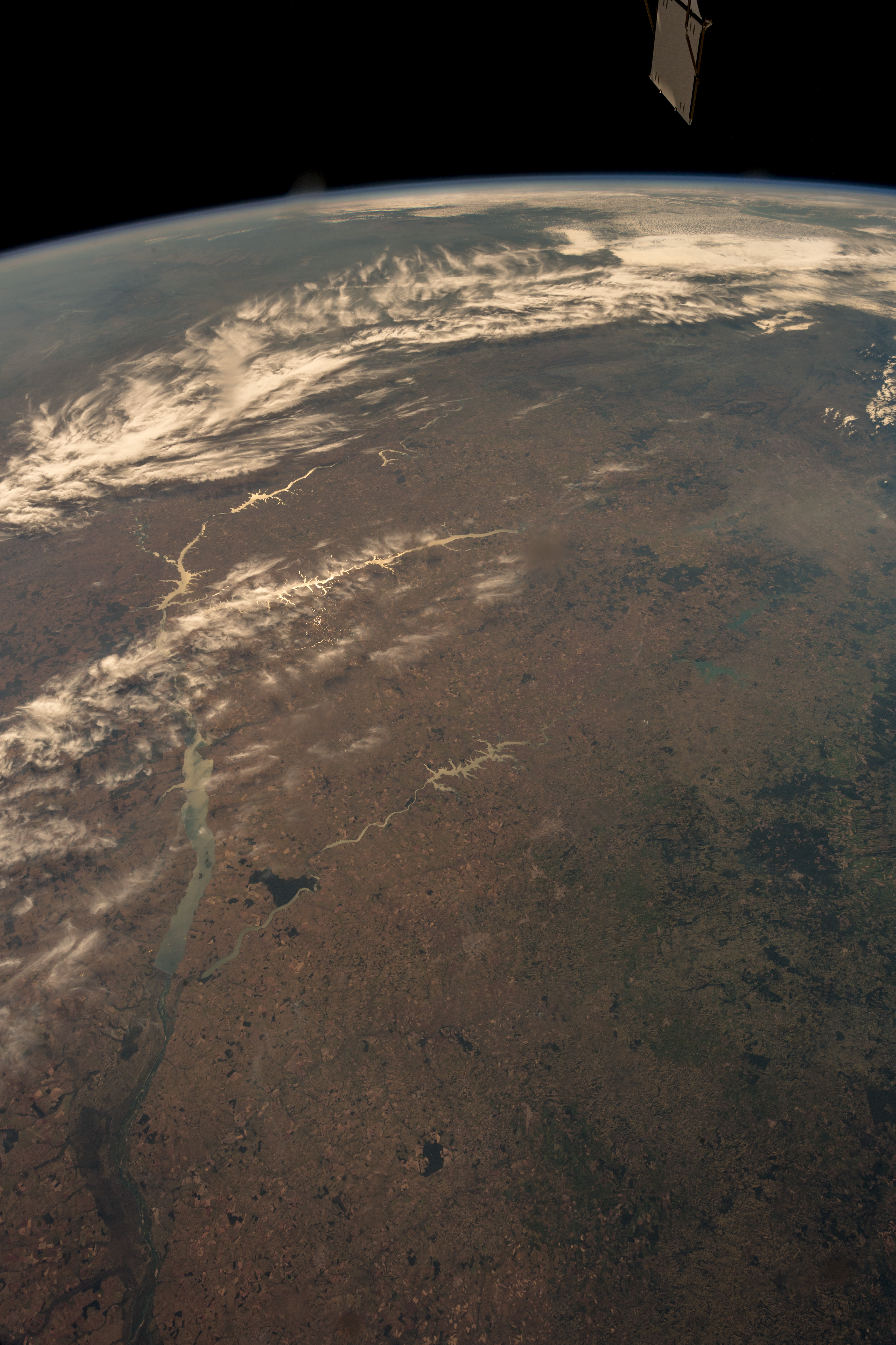 Brazil: The Amazon’s Guardian (image credits: wikimedia)
