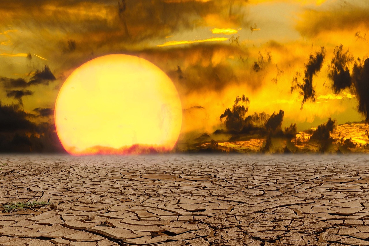 The Mystery of 2024's Unexpected Heat (image credits: pixabay)