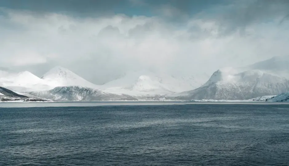 Bringing Arctic Air to American Shores (Image Credits: Pexels)