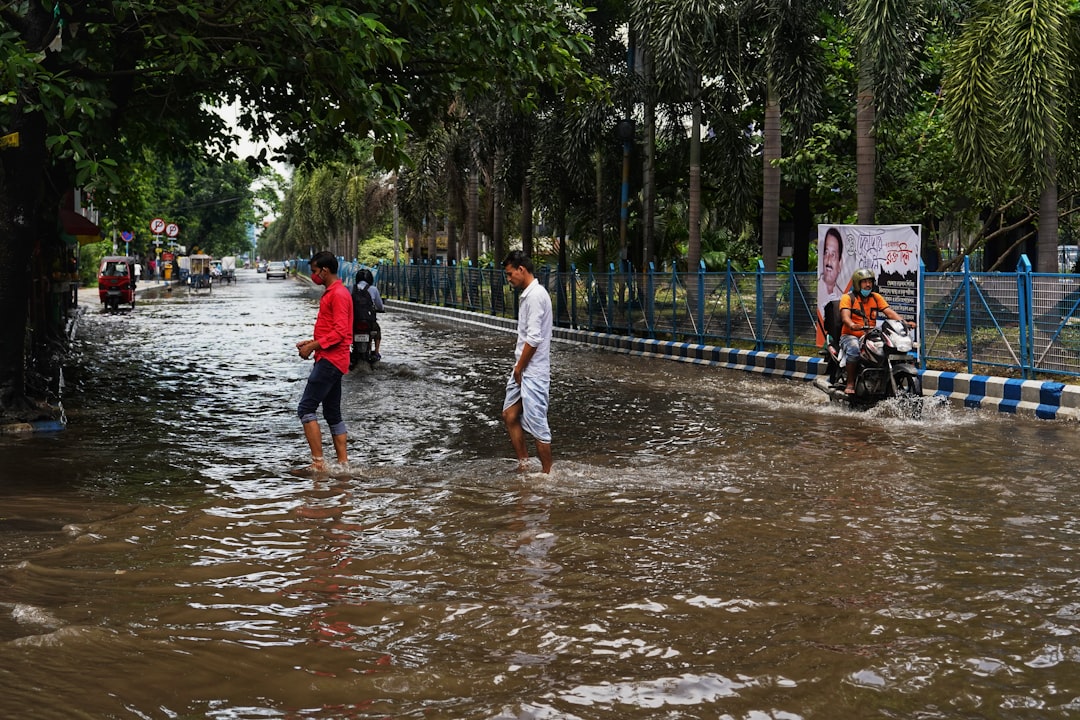 Chandigarh’s Downpour: Record Rains Soak the Tricity (image credits: unsplash)